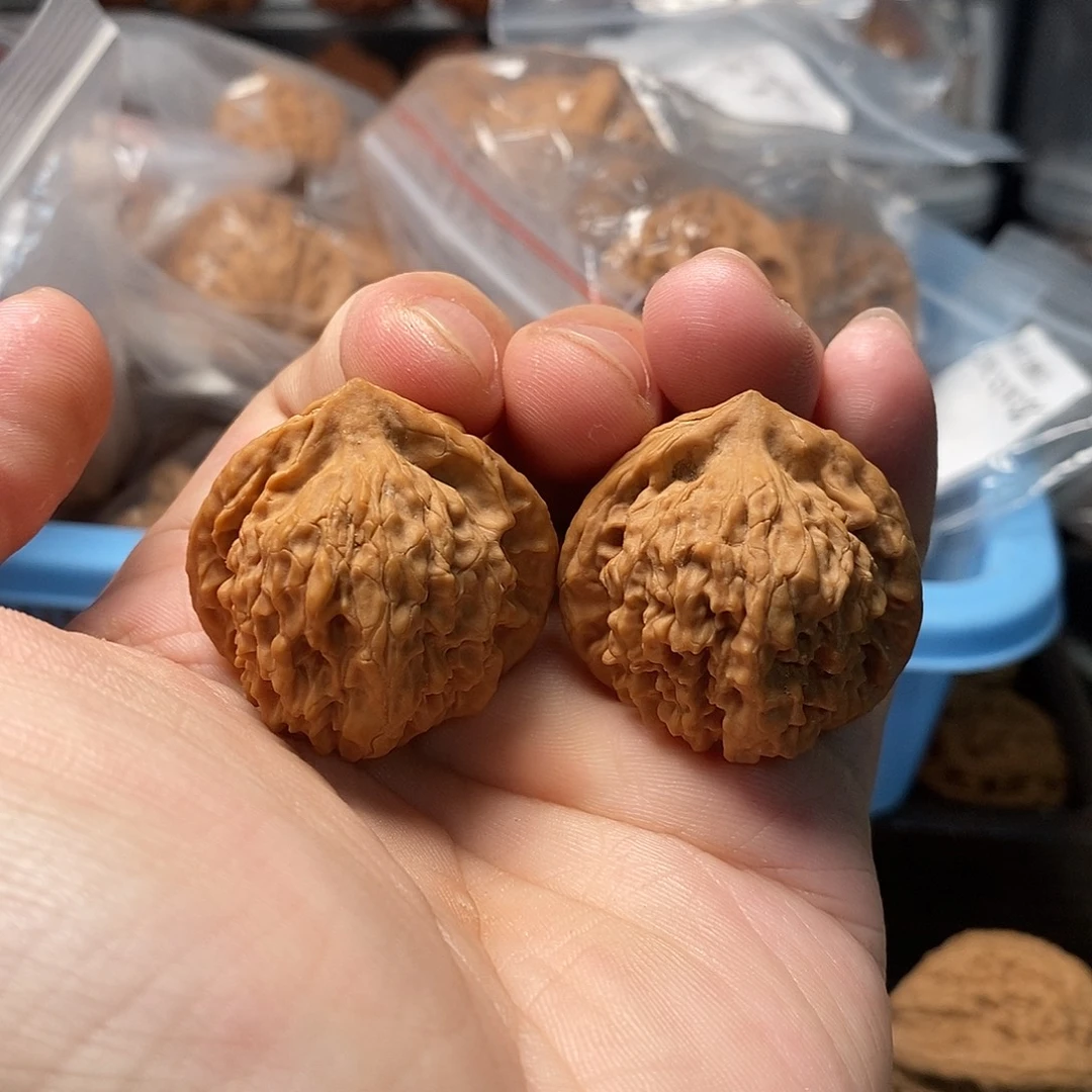 1文玩核桃熔岩元宝33-231