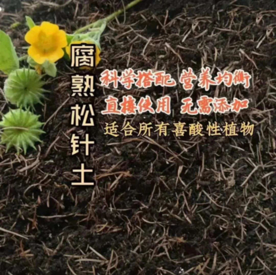 发酵松针营养土疏松透气适合花卉绿植种菜通用种植土