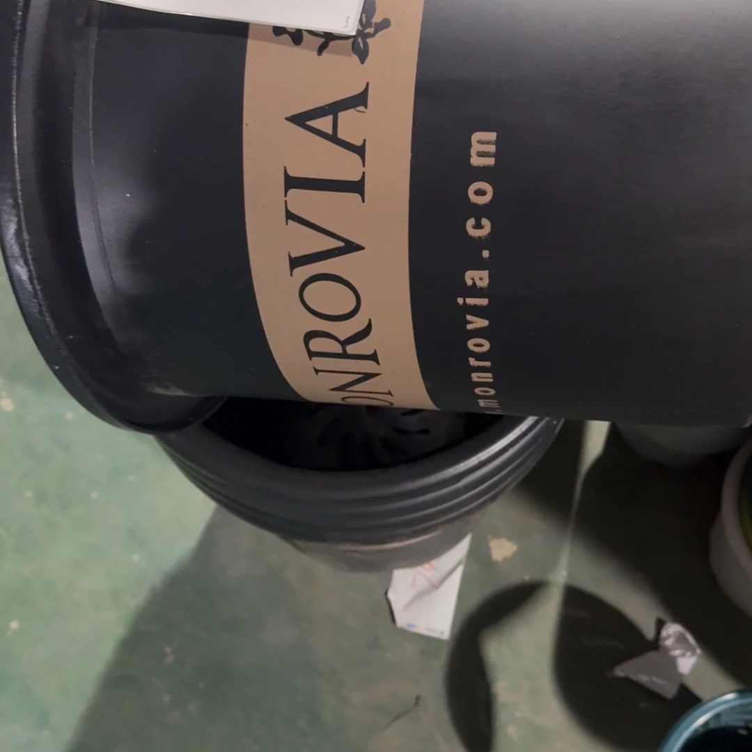 编号是28号的28号的