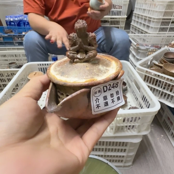 陶盘柴烧新品福利多多