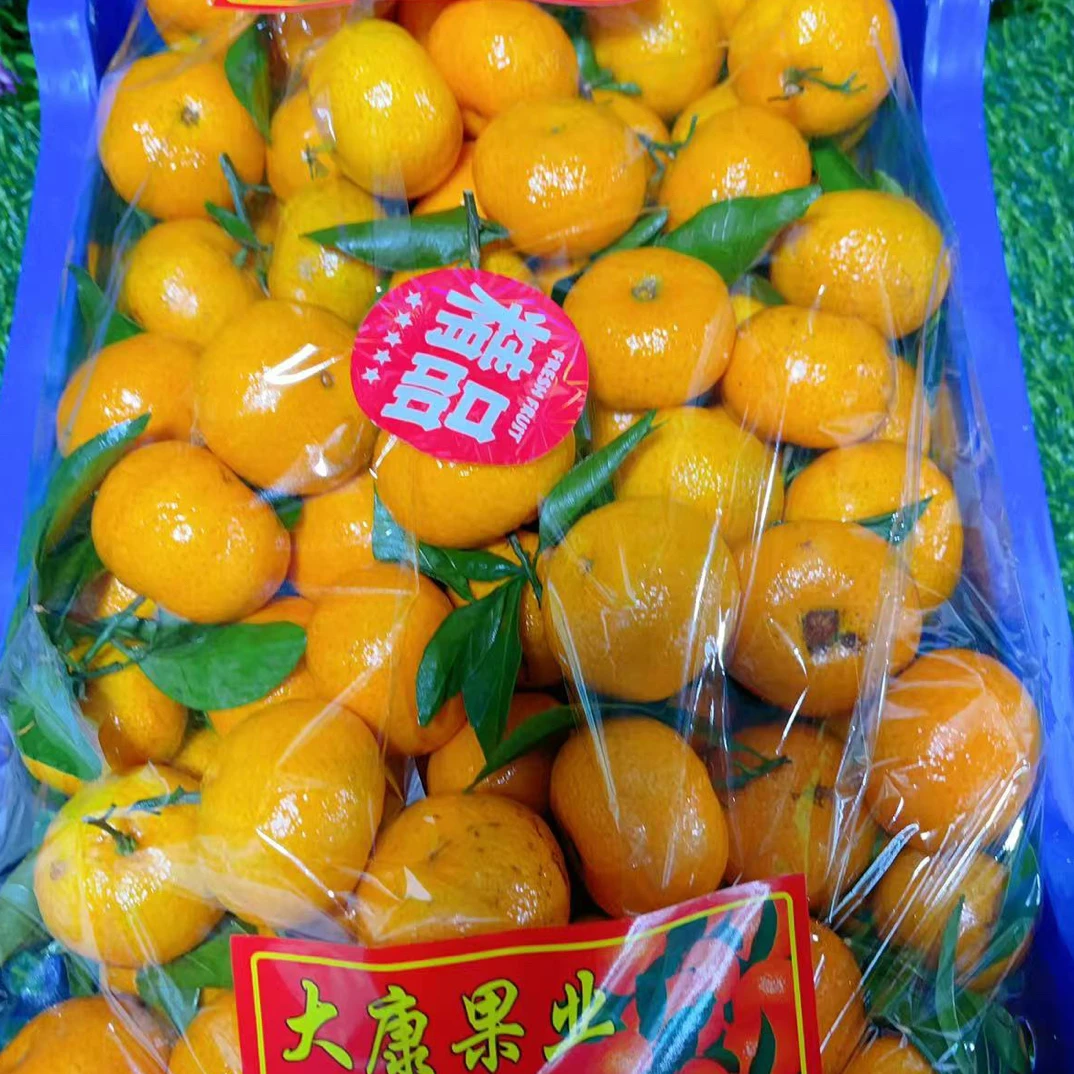 （仅限长春同城拍）广西榴莲蜜桔（砂糖橘）甜嫩多汁皮薄肉厚广西壮族自治区