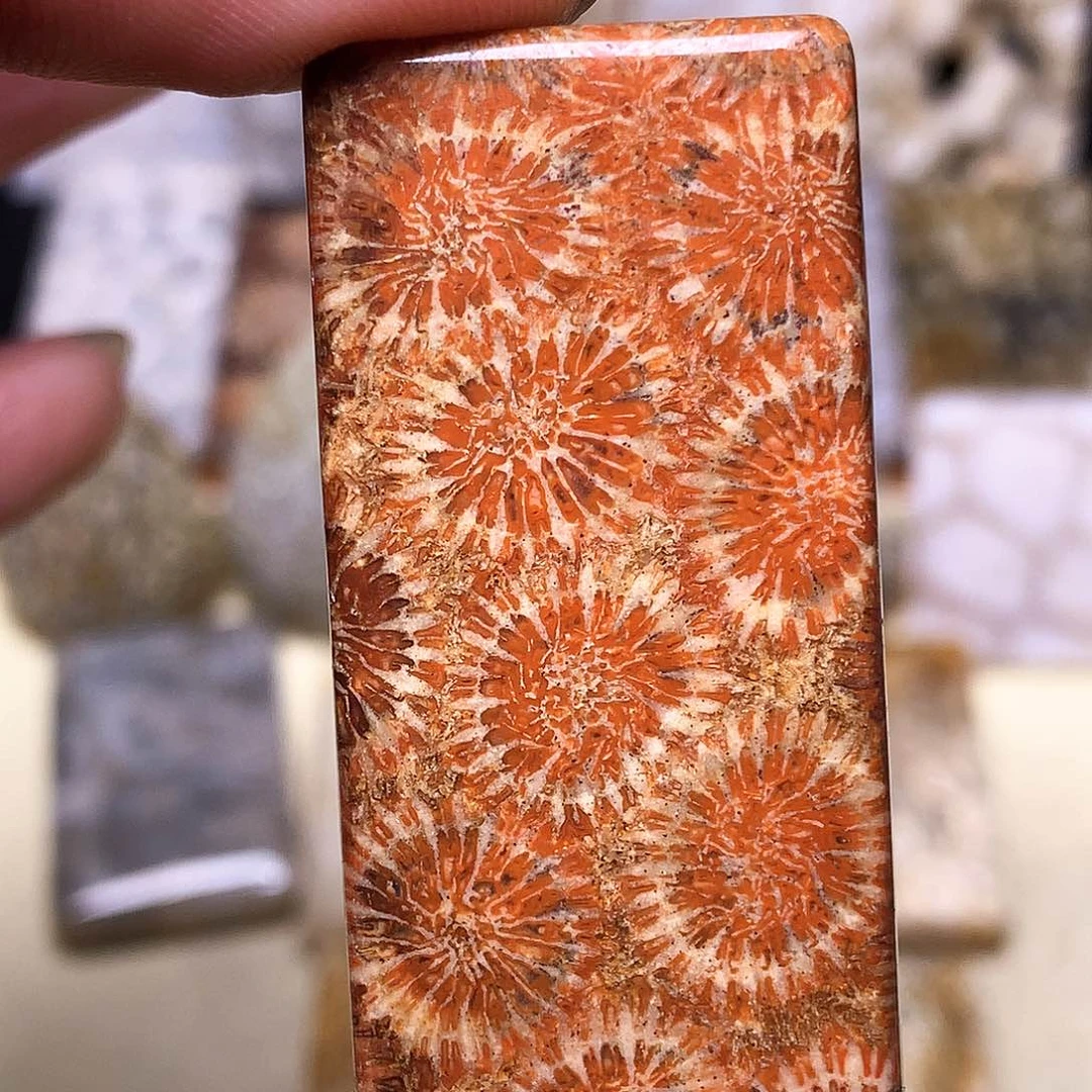 硅化玉珠宝奇石合金鹏**里