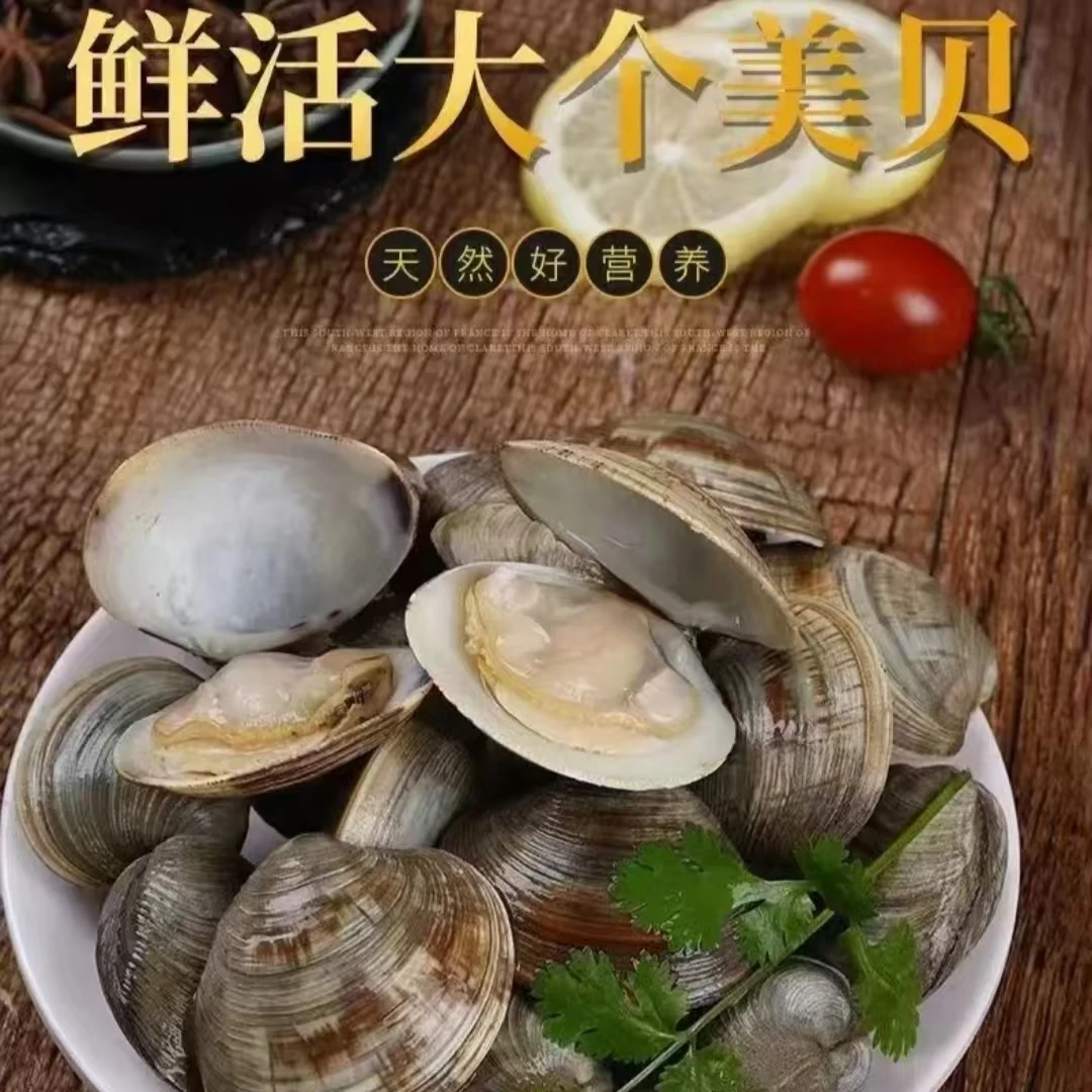 【京东顺丰送货上门】日照本地鲜活美贝新鲜贝类