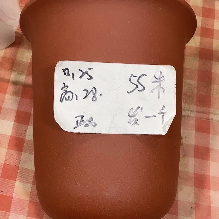 宜兴丁山张伟花盆