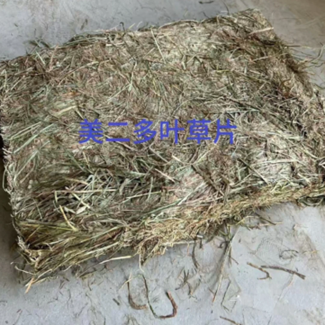 进口美提二番多叶晒干提摩西干草兔兔荷兰猪龙猫小宠磨牙干草稻草
