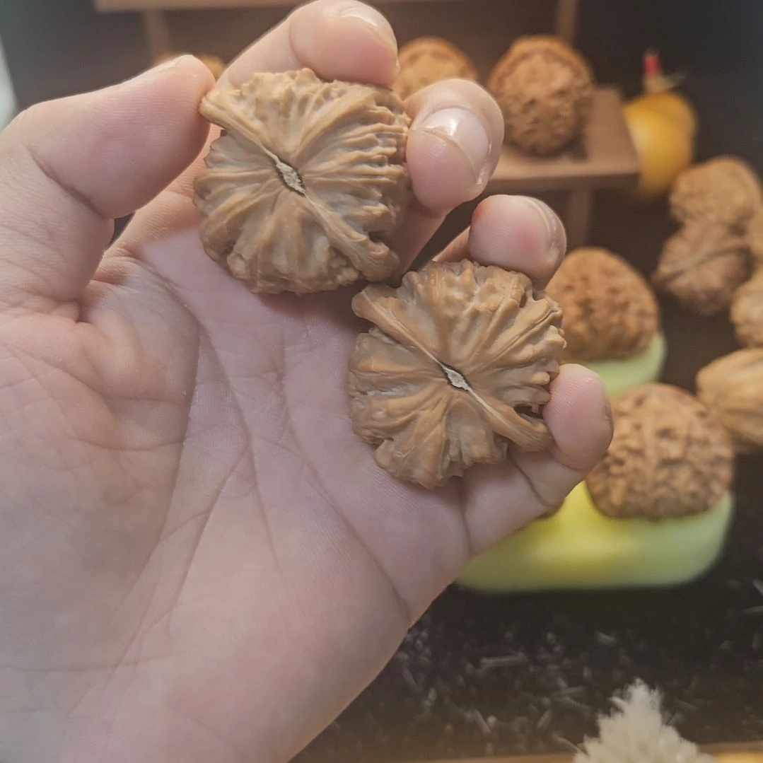 文玩核桃吊坠白狮子40