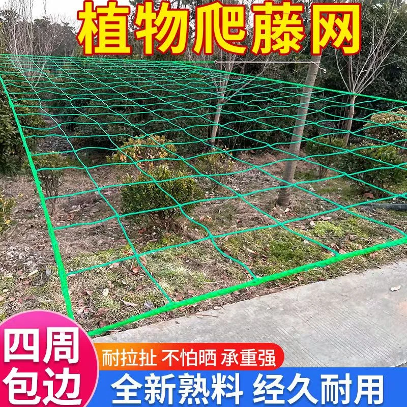 植物爬藤网黄瓜丝瓜爬藤网爬藤网瓜蒌百香果网搭架网爬藤网