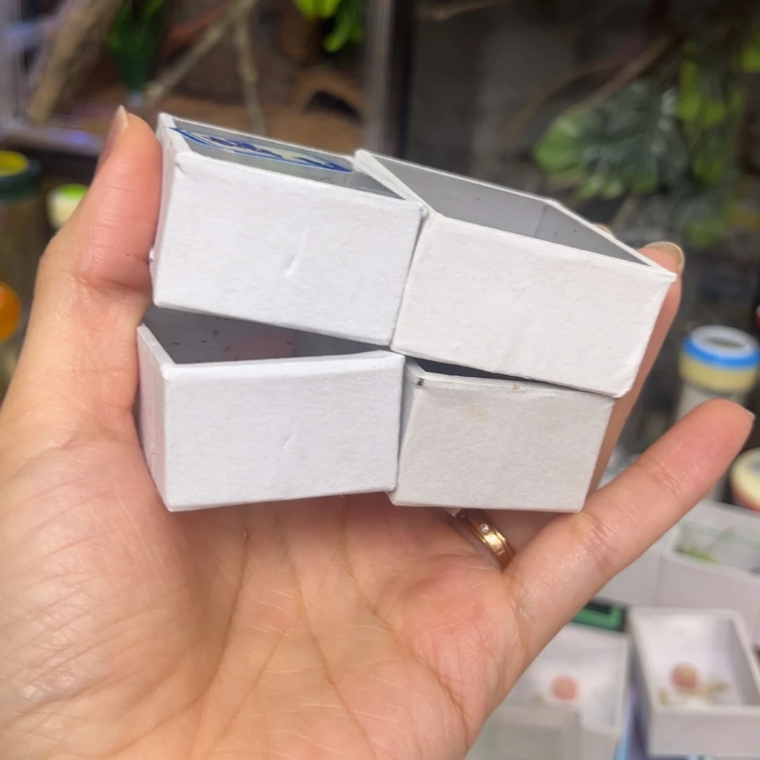 辉***军大生态➕4竹蛉拍拍拍