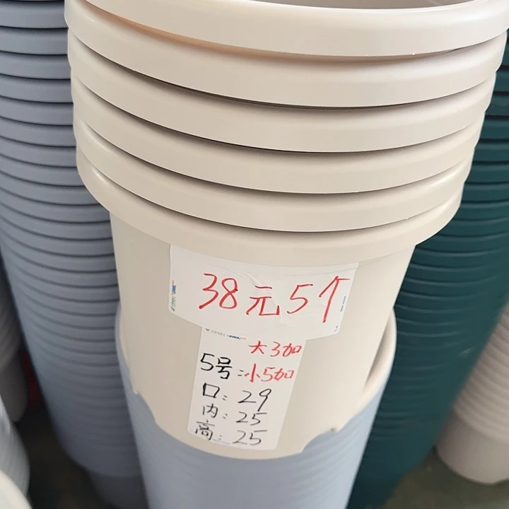微瑕5#灰白6个无托