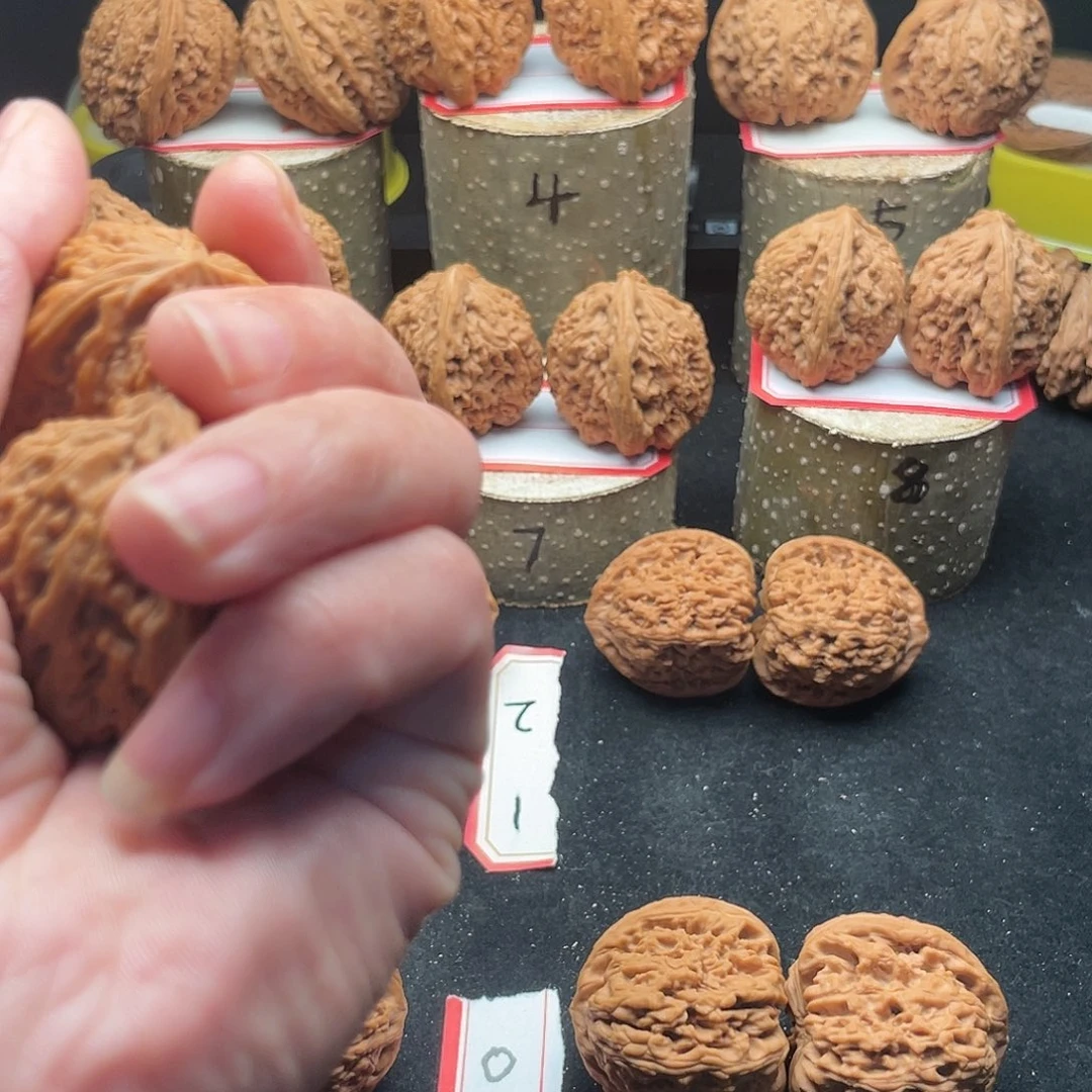 文玩核桃把件伤****删