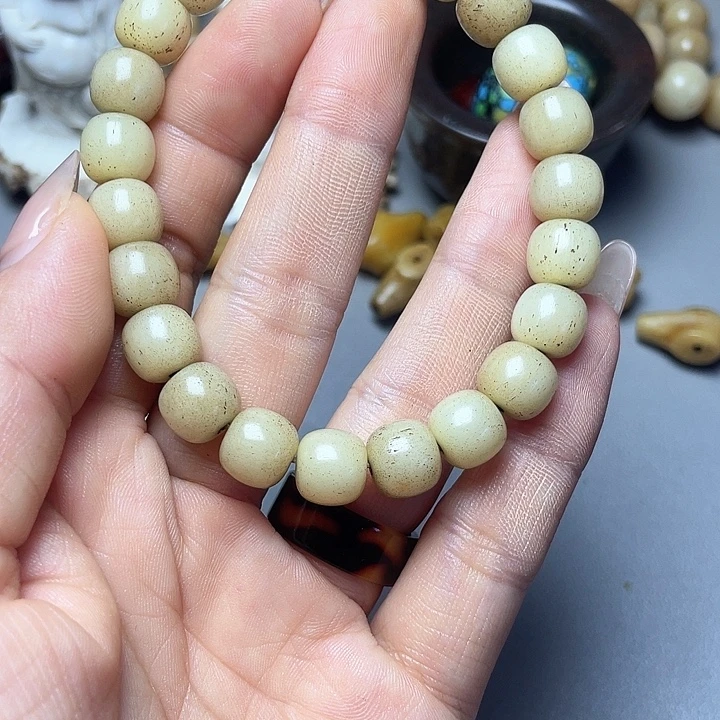 大果紫檀（缅甸花梨）