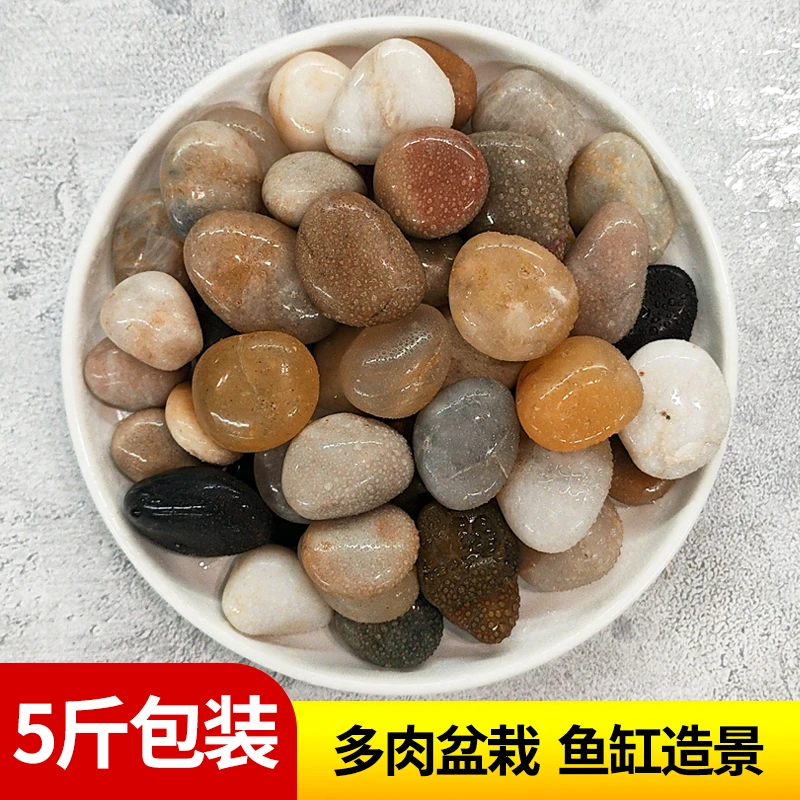 天然鹅卵石南京鹅卵石雨花石五彩厂家直销盆栽鱼缸花盆造景石头