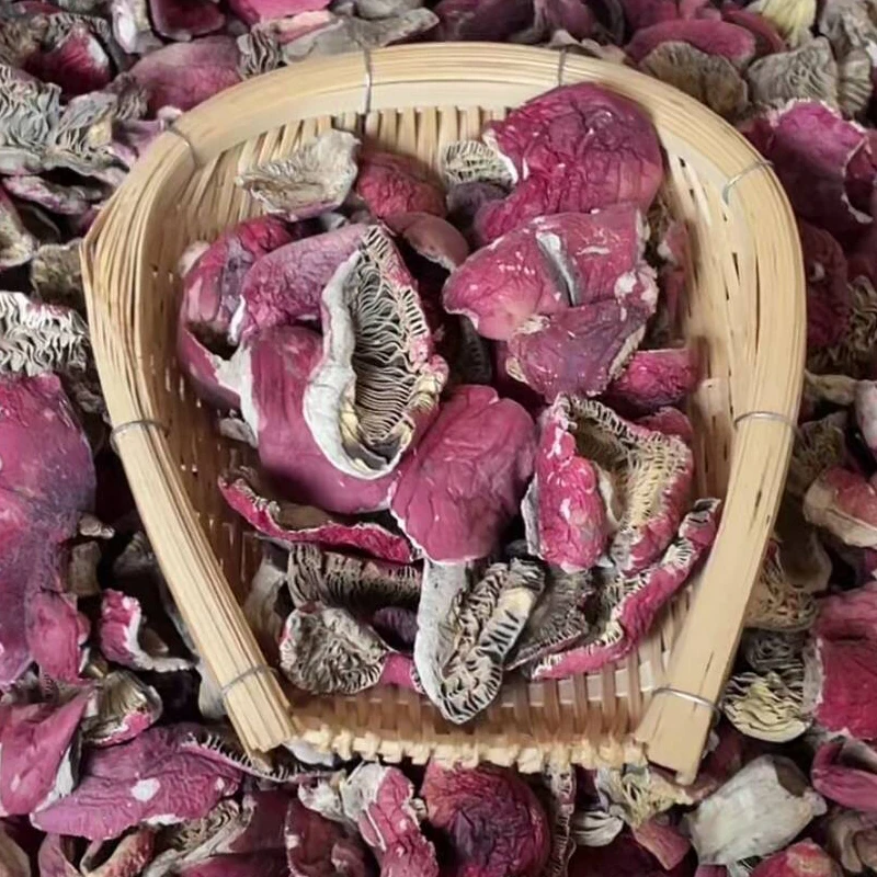 【碎片】碎菇2025年新菇正红菇云南干货红面蓝灰底月子菇 瑕疵菇