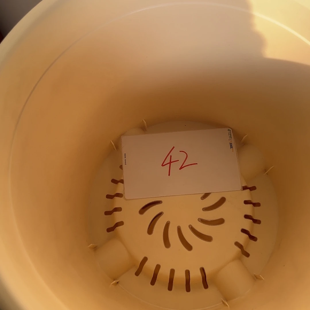 树脂编号42四季5号