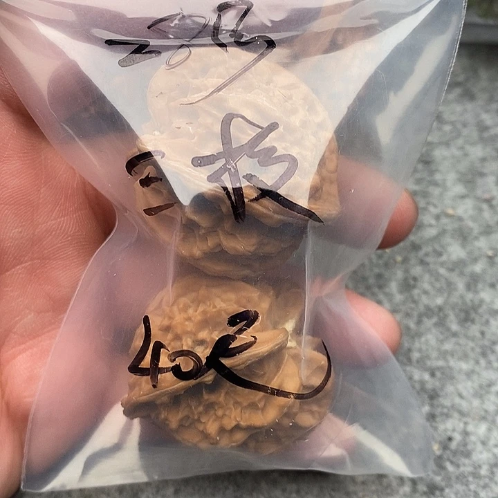 文玩核桃吊坠三棱