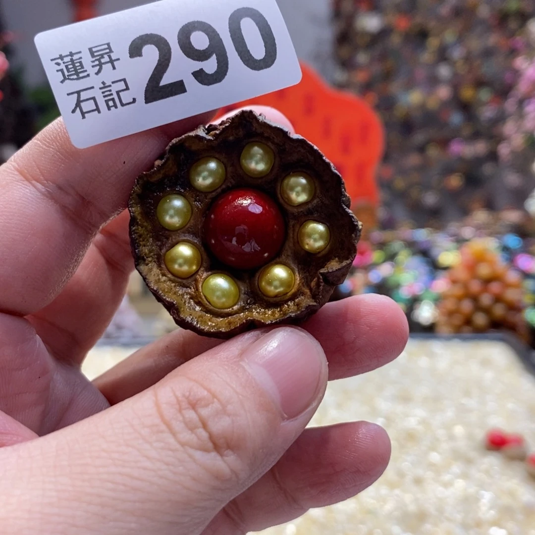 核桃木/黑胡桃（胡桃木）290