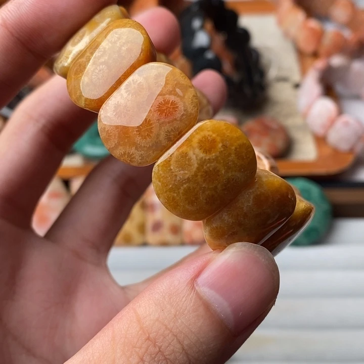 t***n硅化玉未镶嵌珊瑚玉