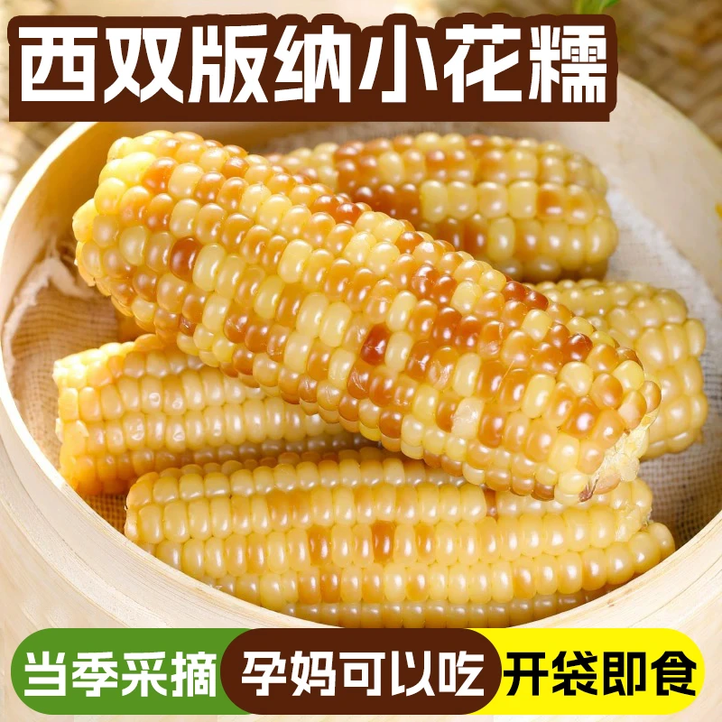 云南西双版纳香糯小玉米新鲜即养生香甜小花糯玉米代餐