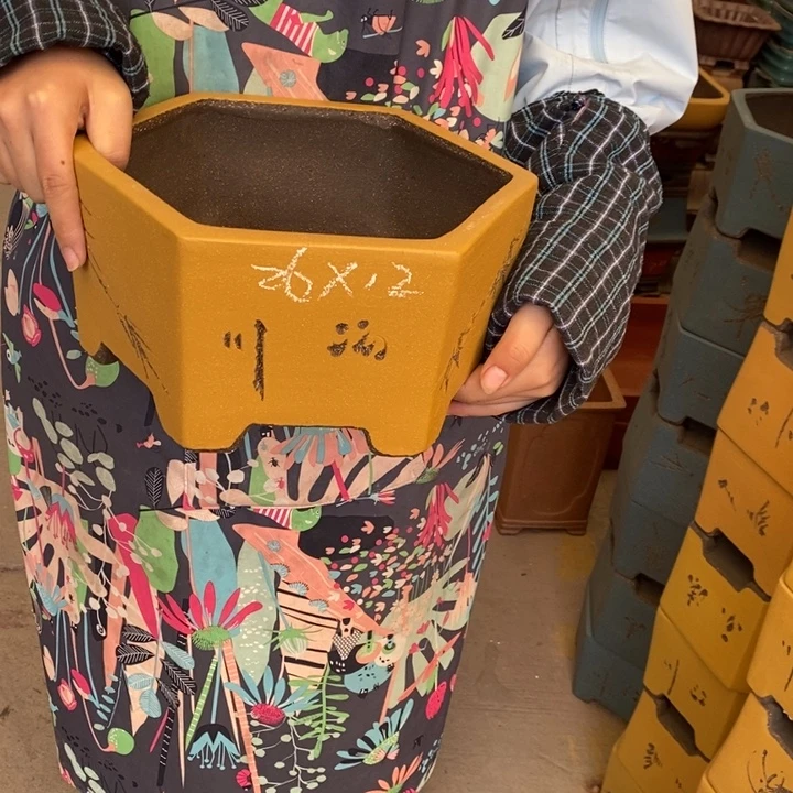 紫砂花盆只顾看手机的