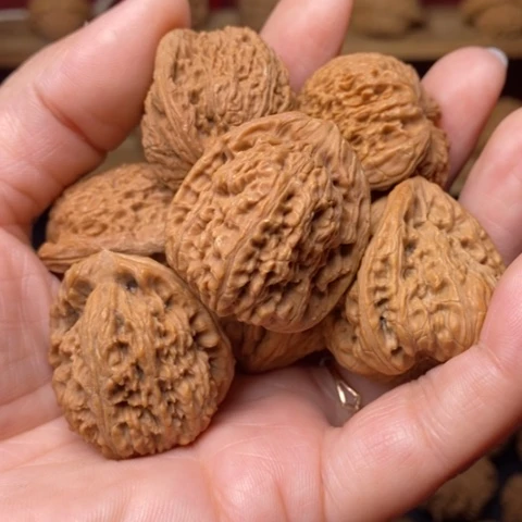 靖***哥把件文玩核桃核桃