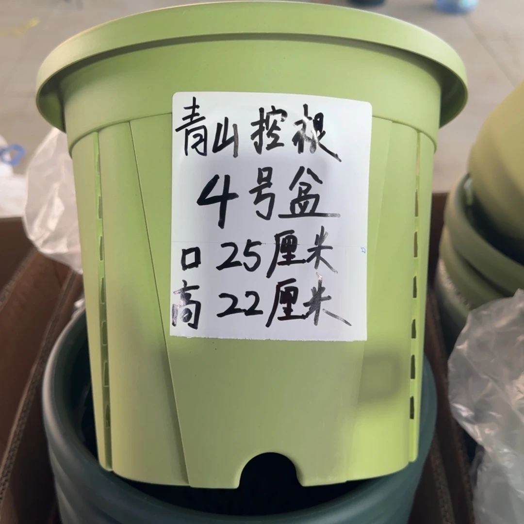 塑料青山控根4号果绿10个无托
