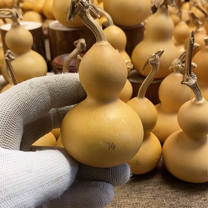 文玩葫芦 完美主义者 慎拍74