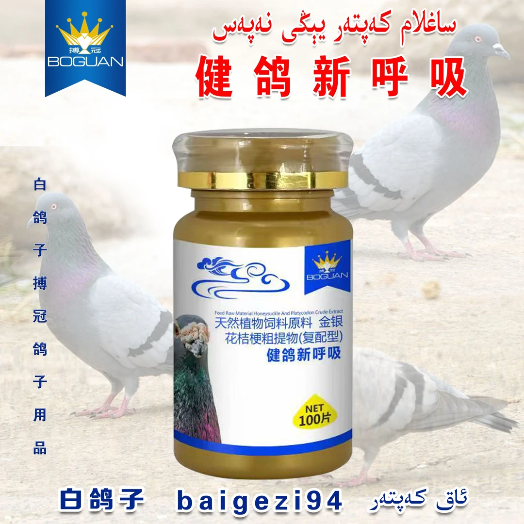 白鸽子健鸽新呼吸 saglam kaptar yi gi na pas【新疆包邮】