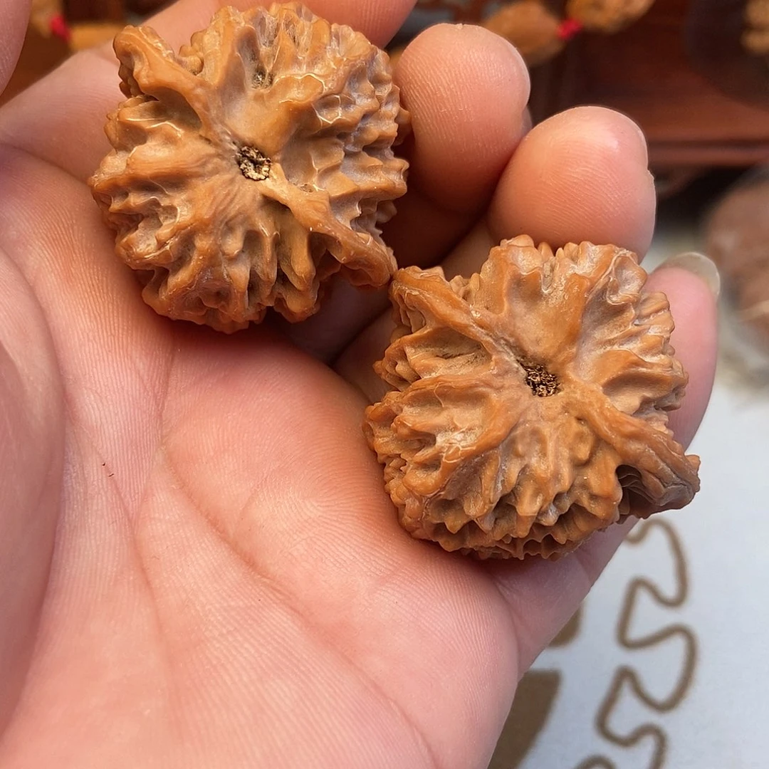 民***哥大叶紫檀（黑酸枝木类）苹果园