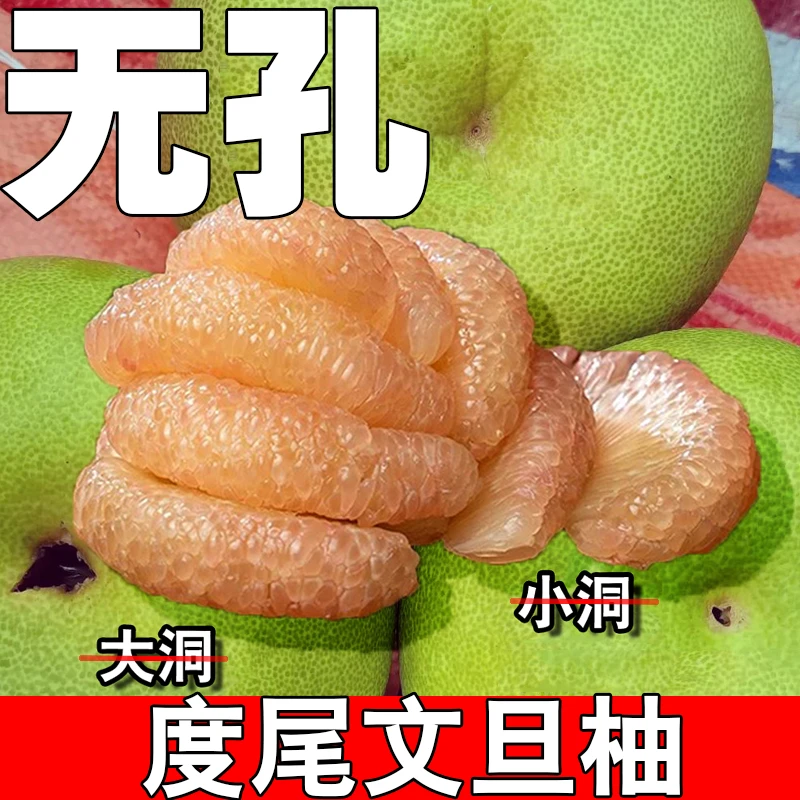 福建仙游度尾文旦柚当季新鲜水果饱满多汁蜜柚子三十年老树果子