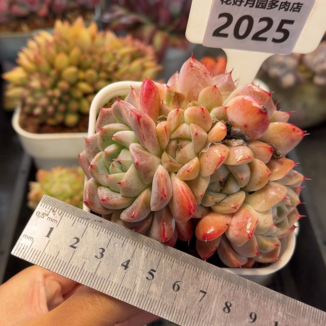 2025 满30包邮天冷必拍保温箱