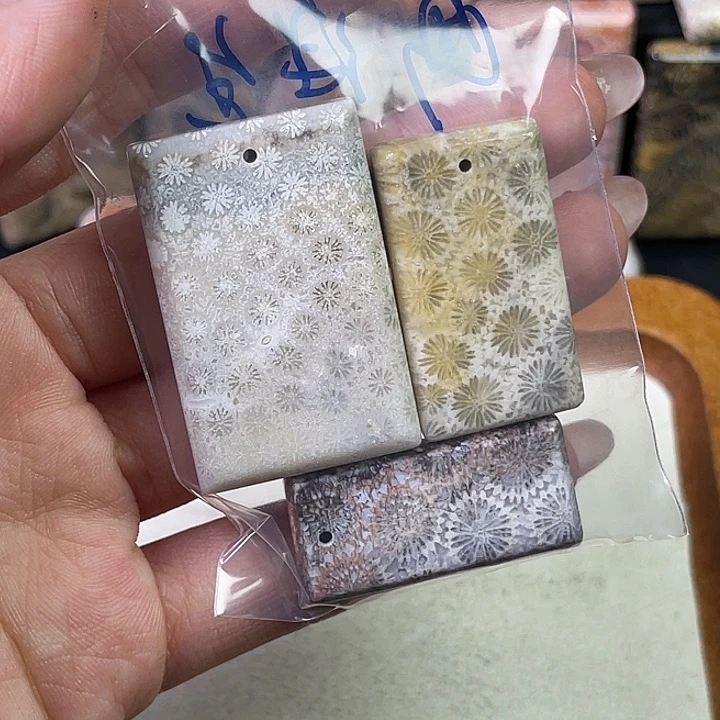 硅化珊瑚（珊瑚玉）珠宝金石合金画*生