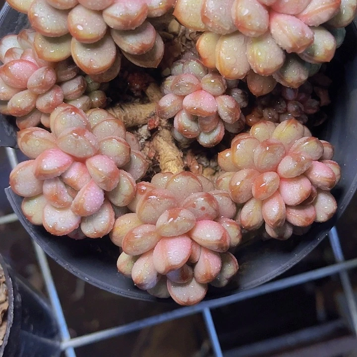 用****4一个人不容易吧哈哈很