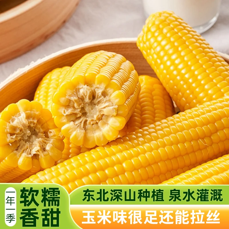 大棒玉米粗粮轻食东北黄糯玉米铝箔膜真空包装粘黏苞玉米
