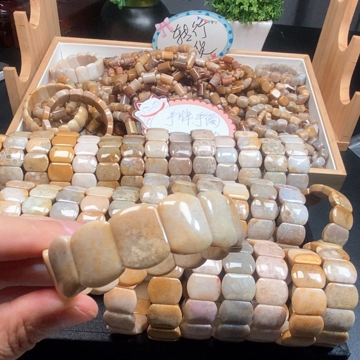 硅化珊瑚（珊瑚玉）未镶嵌颈饰