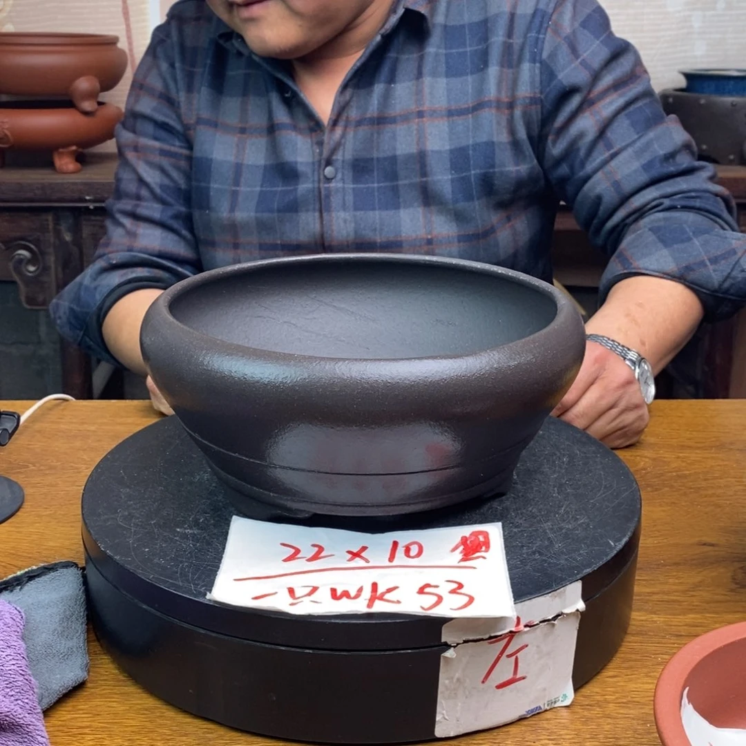 红陶货号一只WK53黑