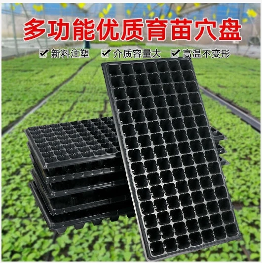 育苗盆穴盘蔬菜种子西瓜种子育苗盘