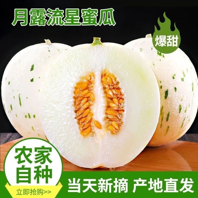 现摘当季新鲜月露流星蜜瓜山东蜜露冰淇凌蜜瓜香瓜哈密瓜流心蜜瓜