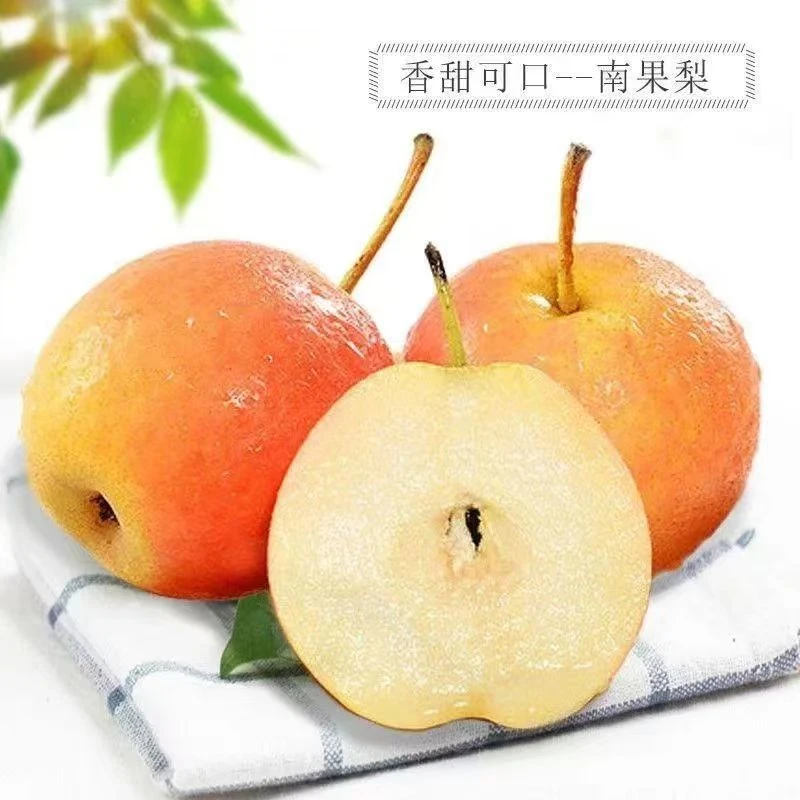 【主播专属】精品薄皮红脸南果梨新鲜优质多汁辽宁鞍山特产爽口正宗