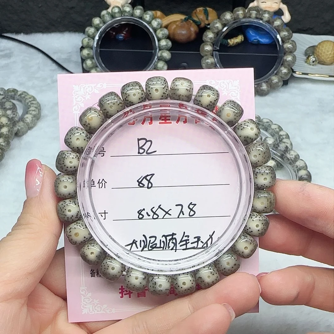 心月星月菩提一号B2