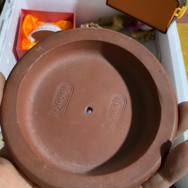 满***仓地方经济个好结局哥哥好
