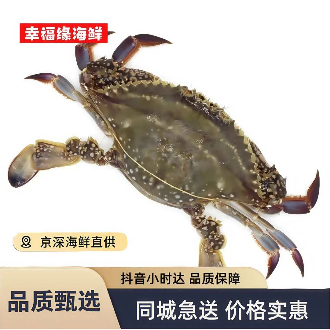 牺牲吃黄梭子蟹 2-5两/只（多斤数可选）【保鲜不保活】