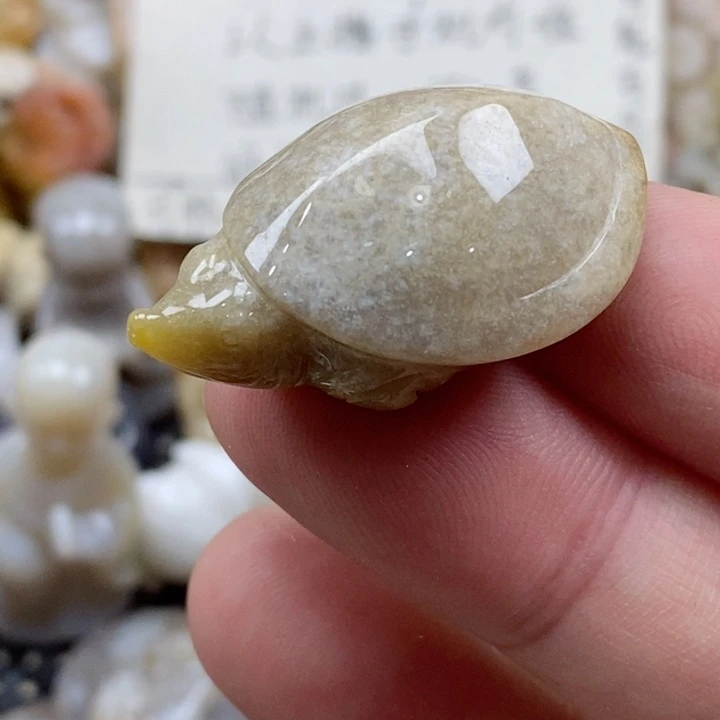 颈饰未镶嵌硅化珊瑚（珊瑚玉）小