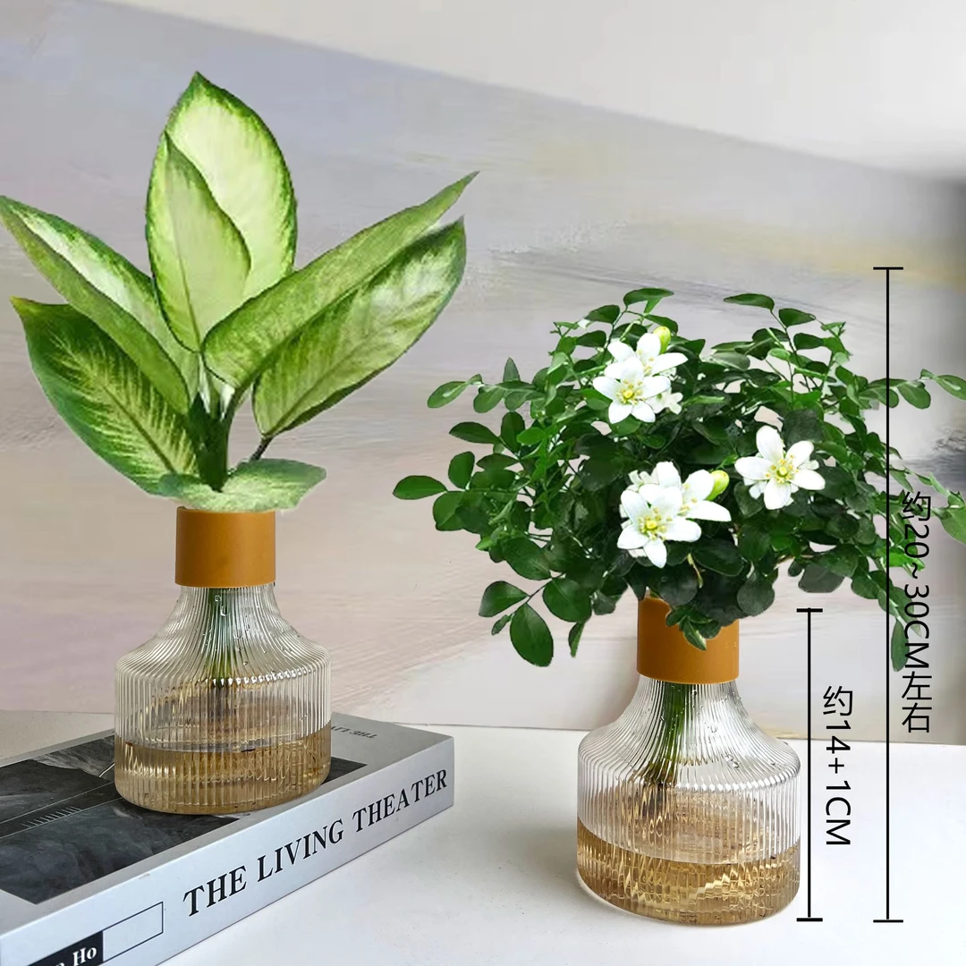 【 买一送一】玛丽安九里香水培植物室内净化空气驱虫绿植四季常青