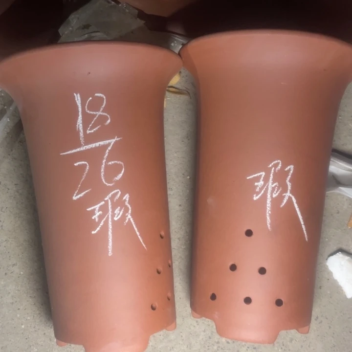 真实真实真实真实处