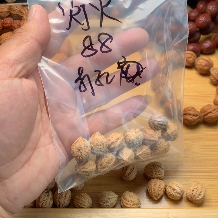桃核吊坠灯**珊野生精品小核桃散籽