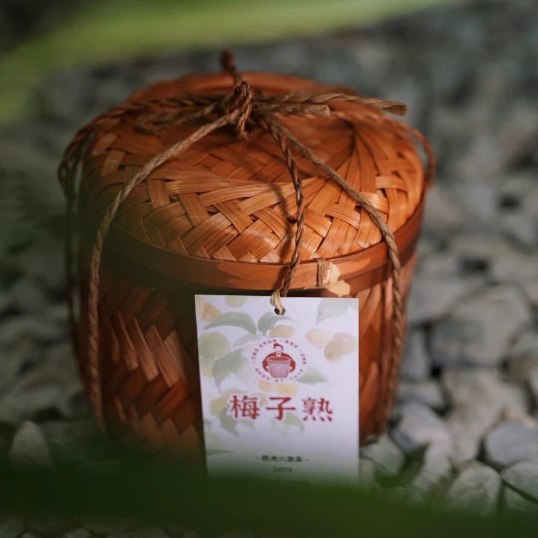 徐小敏（梅子熟2019年）广西黑茶纯好六堡茶、特级