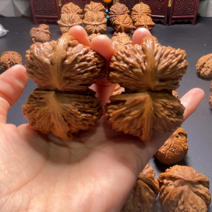 白狮子连体54尺寸核桃哈哈哈哈哈