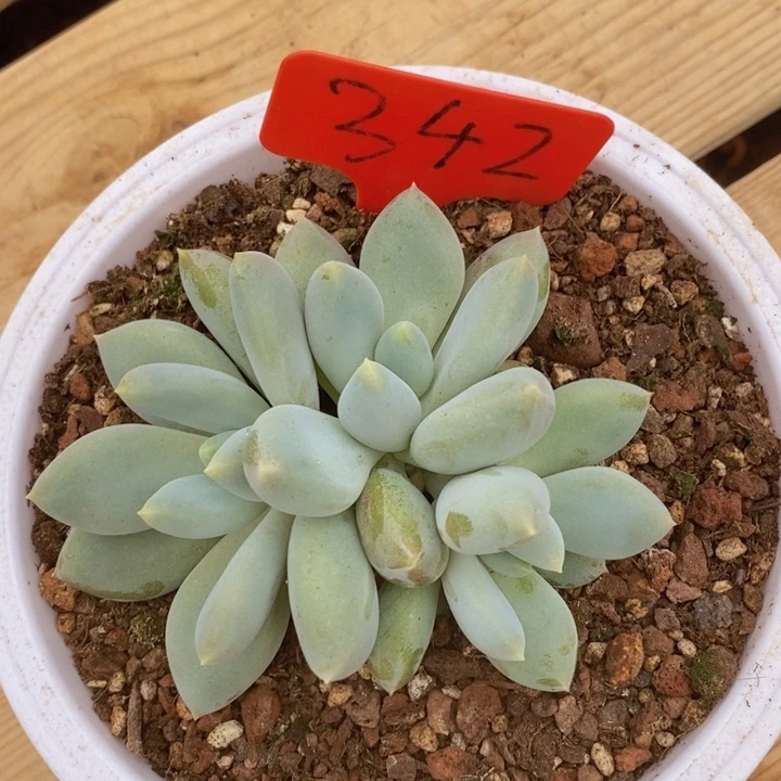 这种现象很容易发生一