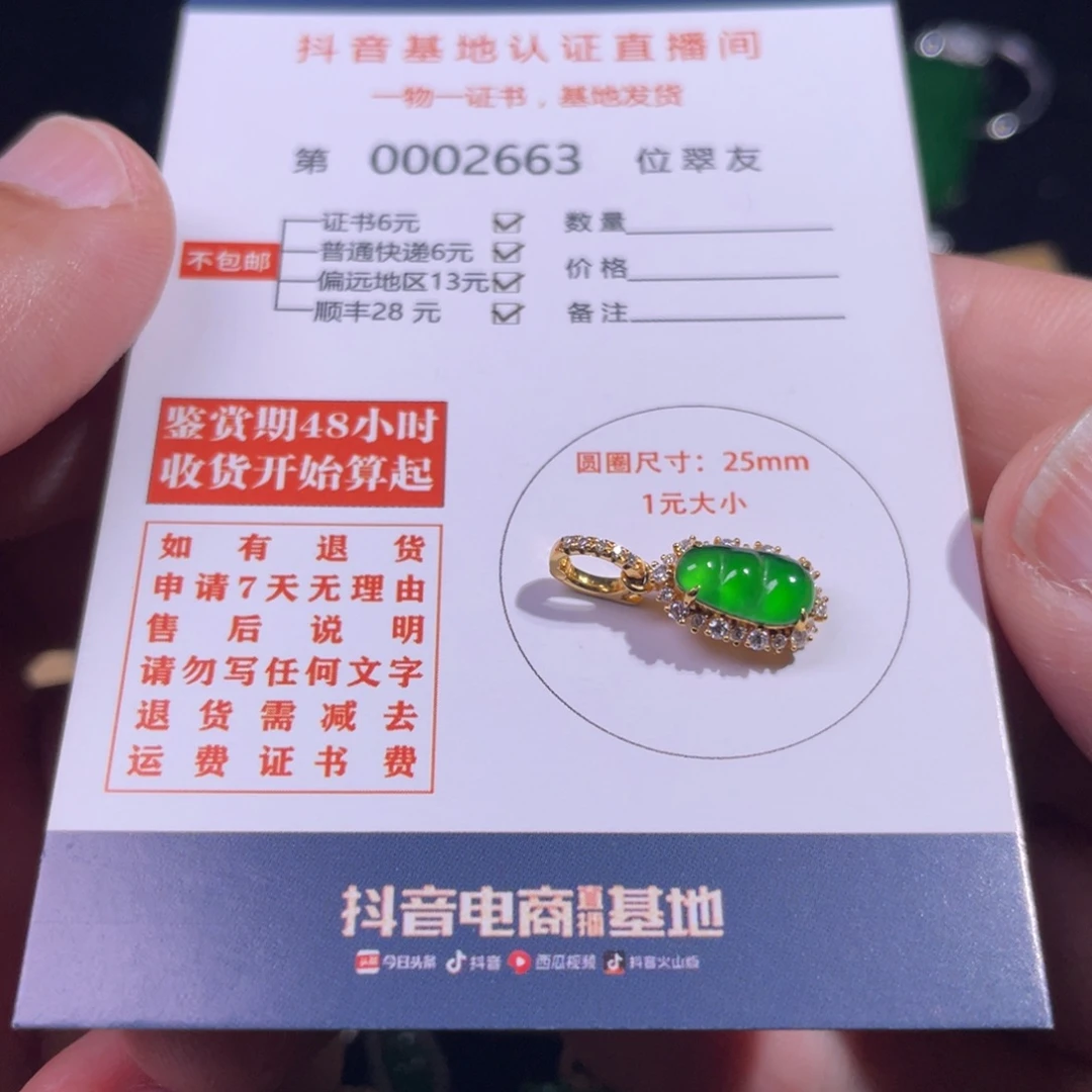 翡翠18K金镶嵌颈饰?****叮翡翠