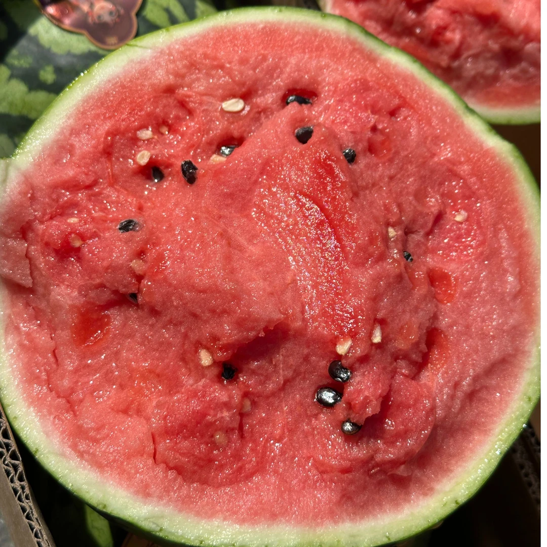 8424西瓜1个/约8斤左右江苏省